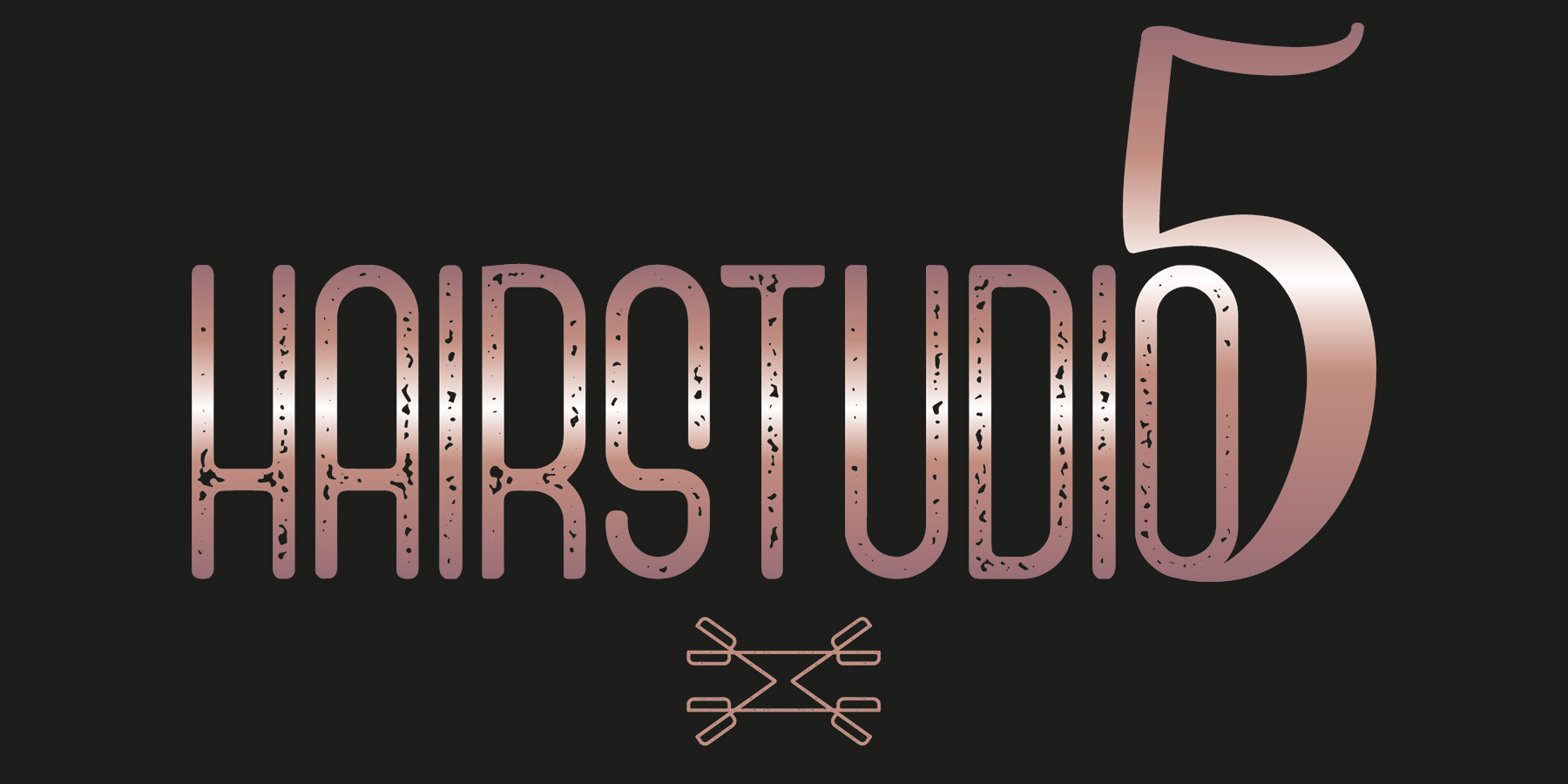 Hairstudio 5 logo
